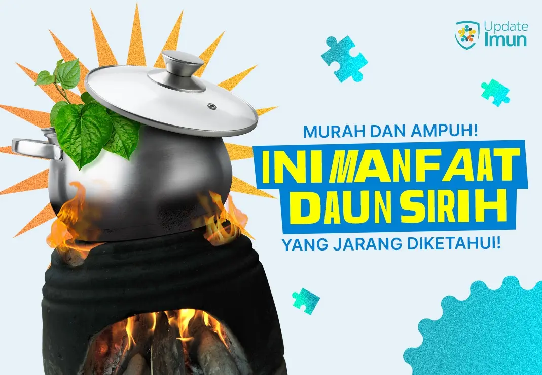 Murah dan Ampuh! Ini Manfaat Daun Sirih yang Jarang Diketahui