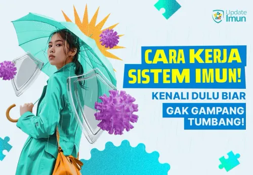 Cara Kerja Sistem Imun, Kenali Dulu Biar Nggak Gampang Tumbang!