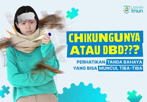Chikungunya atau DBD? Perhatikan Tanda Bahaya yang Bisa Muncul Tiba-Tiba
